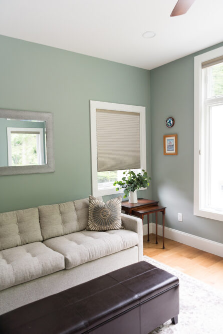 living-room-interior-designs-sage-green-wall-paint